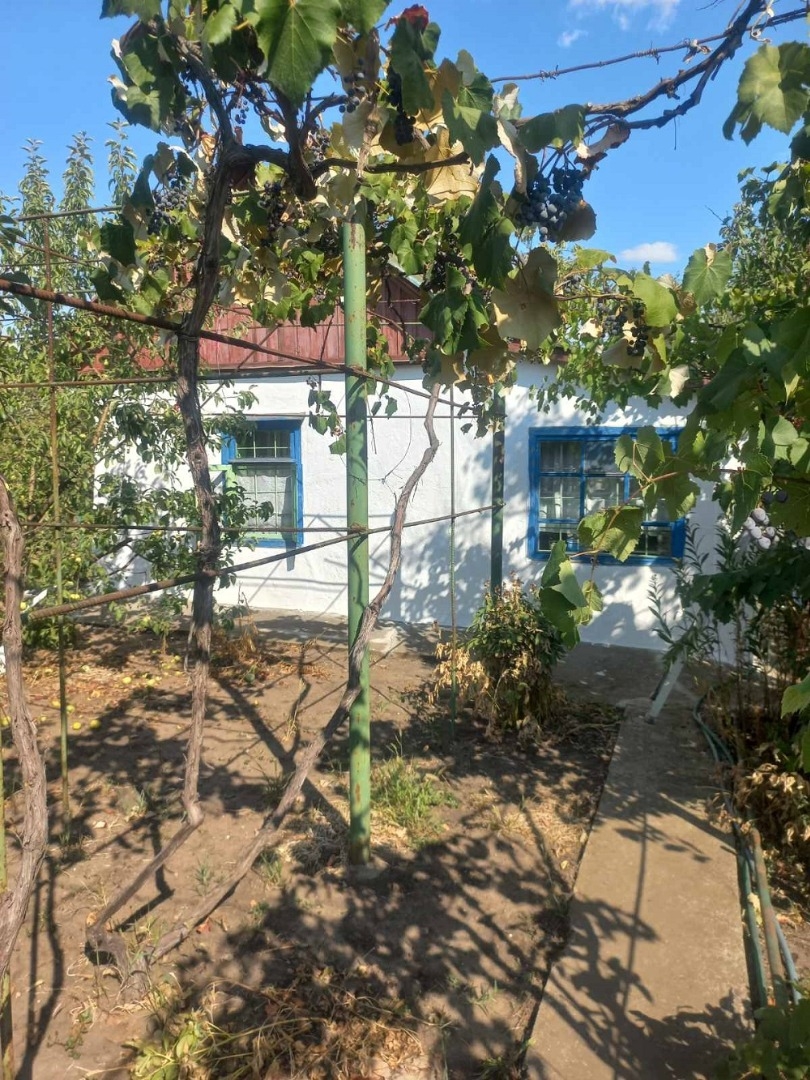 продажа дома номер H-174467 в Светлом, фото номер 8